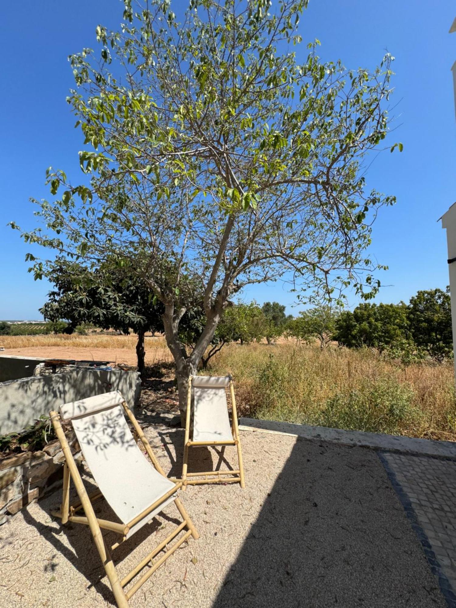 Quinta Castor Villa Vila Nova de Cacela Exterior photo