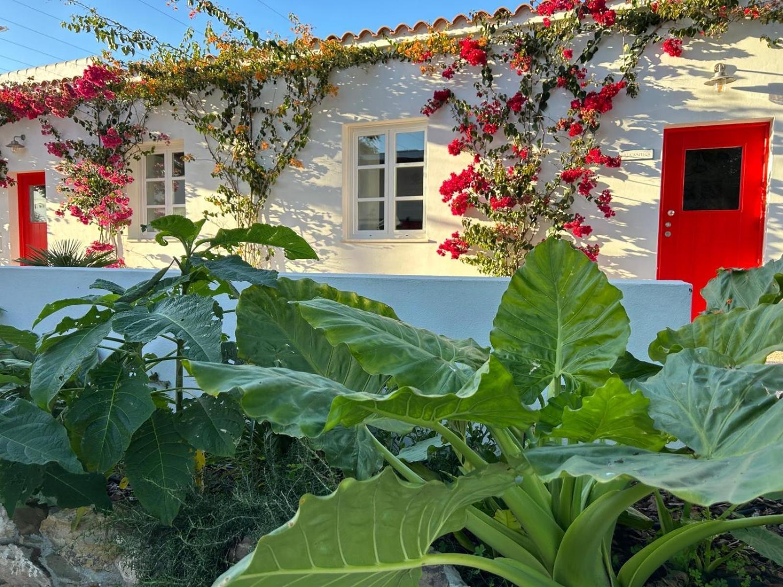 Quinta Castor Villa Vila Nova de Cacela Exterior photo